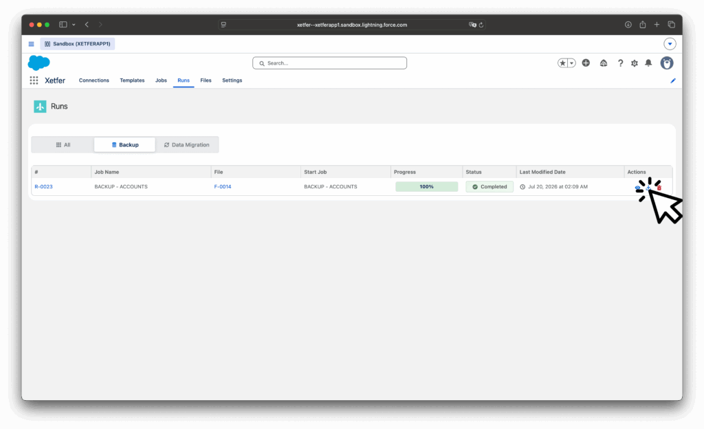 Xetfer Salesforce backup run with download option highlighted