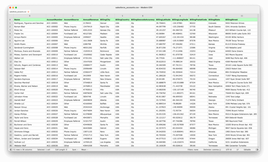 Salesforce accounts CSV file prepared for Xetfer data import