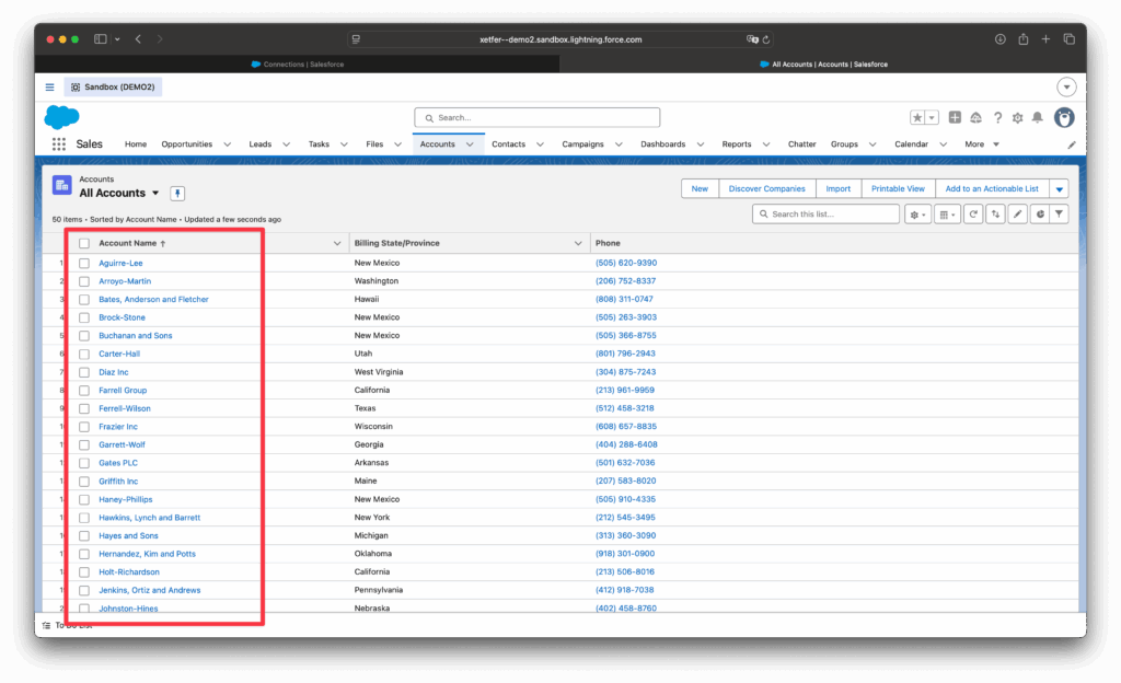 Imported Salesforce account records displayed in the destination org account list
