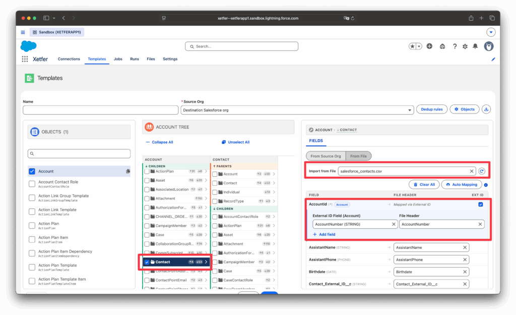Xetfer Salesforce contact import mapping using AccountNumber external ID relationship