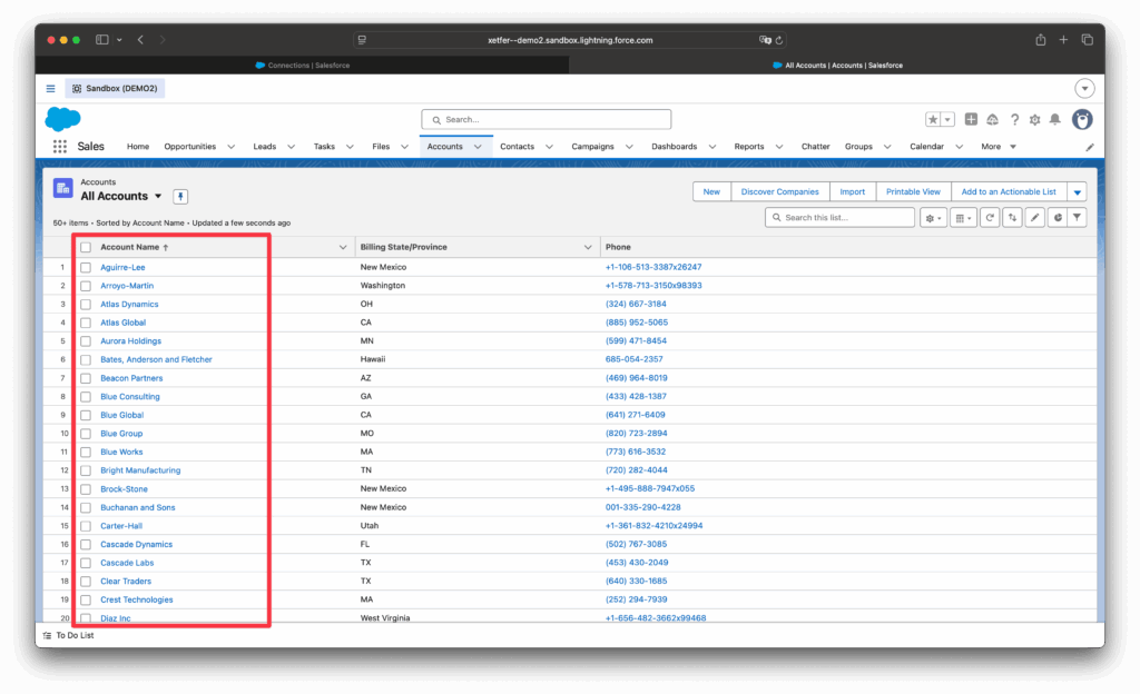 Migrated Salesforce account records displayed in the destination org account list